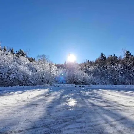 200mt Dalle Piste,posto Auto Coperto,wifi,camino. *