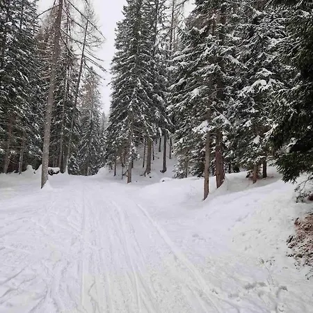 200mt Dalle Piste,posto Auto Coperto,wifi,camino. * Nevegal