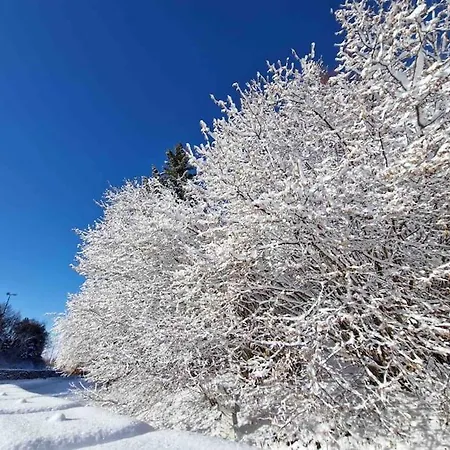 200mt Dalle Piste,posto Auto Coperto,wifi,camino. アパート