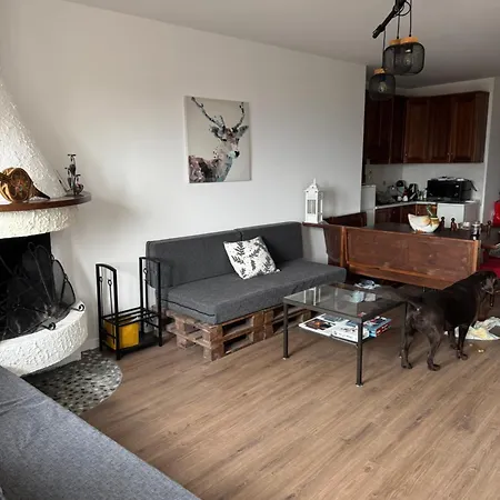 Ristrutturato In Parcheggio Coperto,15 Minuti Belluno Apartamento